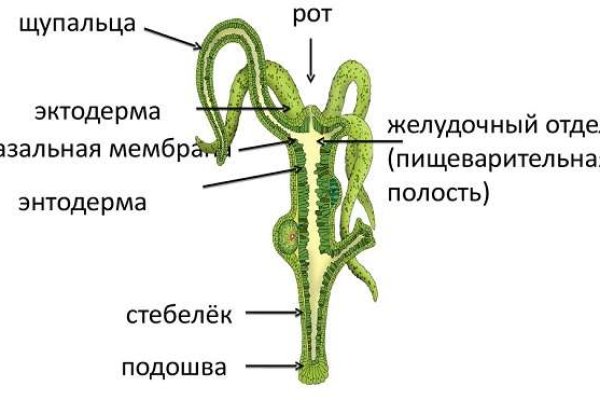 Омг сайт тор